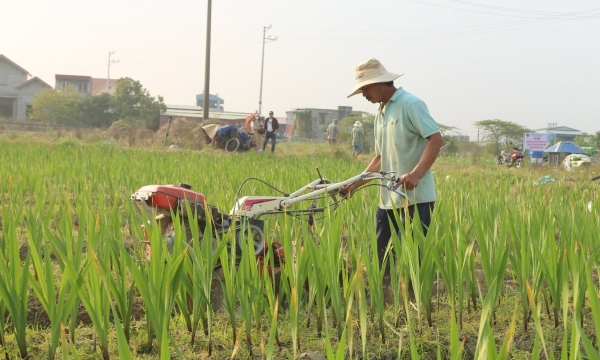 Hai Phong identifies three breakthroughs to improve farmers' lives